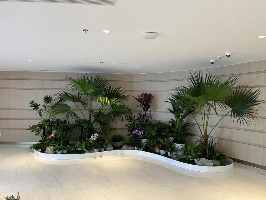 宁波海曙花卉租赁哪家好亡